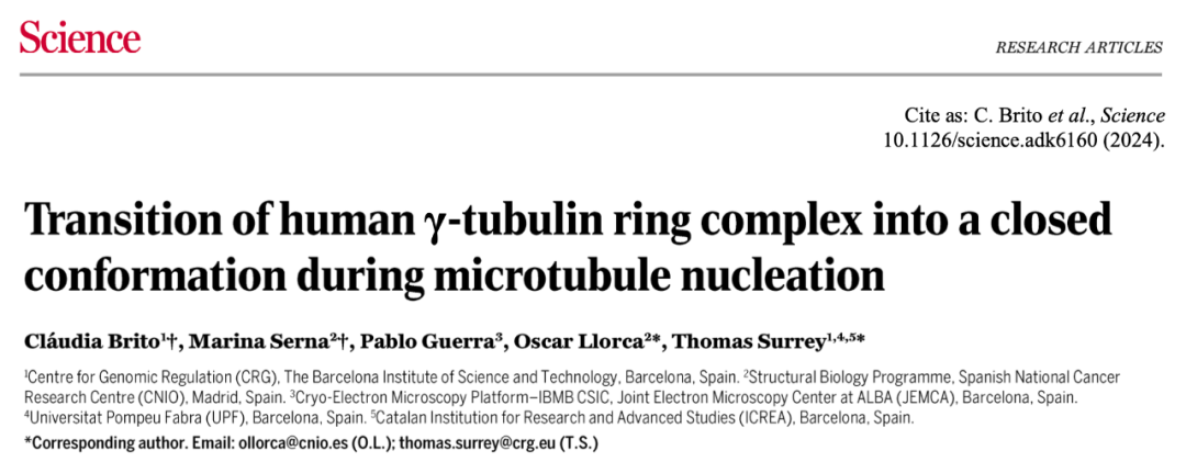 Science重磅：首次捕獲人類細(xì)胞“高速公路”構(gòu)建過程的高分辨率圖像，為微管相關(guān)疾病的治療指明新的方向！