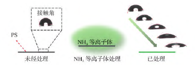 PS的氨氣等離子處理過程及可控親水改性示意圖