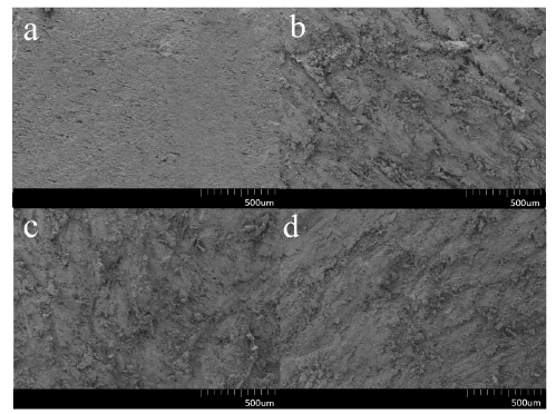 大氣等離子體處理后的發泡PVC板表面掃描電鏡圖