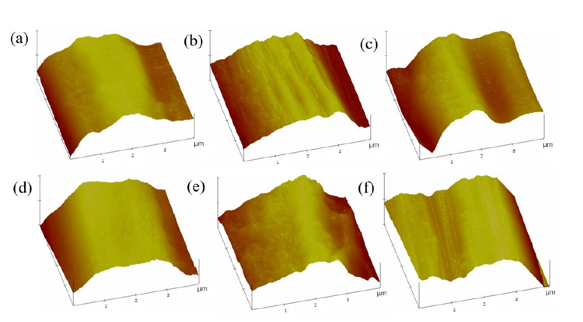 圖5 不同處理時間下的AFM圖像 (a) 5min (b) 10min (c) 15min (d) 20 min (e) 25 min (f) 30min  