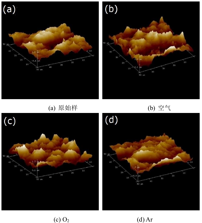 圖2  冷等離子處理前后氟橡膠表面三維形貌 