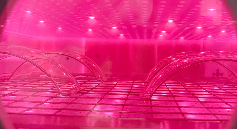 等離子體清洗技術(shù)分類、特點