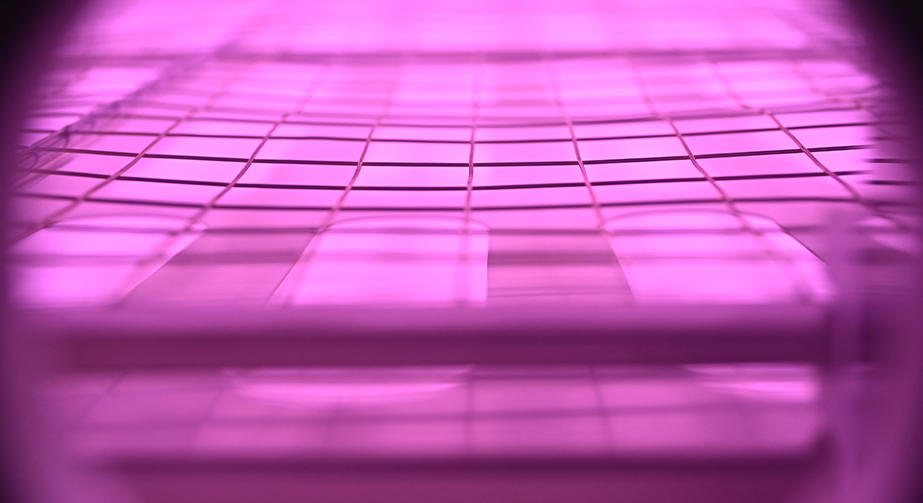 橡膠低溫等離子體處理提高粘接性原理