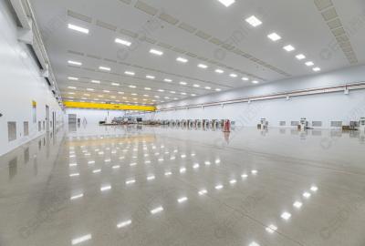 研究揭示肺炎免疫新機制，為臨床診治提供新靶點